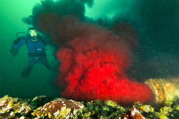  Blood water discharges from an effluent pipe at Browns Bay Packing Company near Campbell River. The company processes farmed Atlantic salmon, and wild salmon advocates fear it will spread a highly contagious virus to wild stocks.