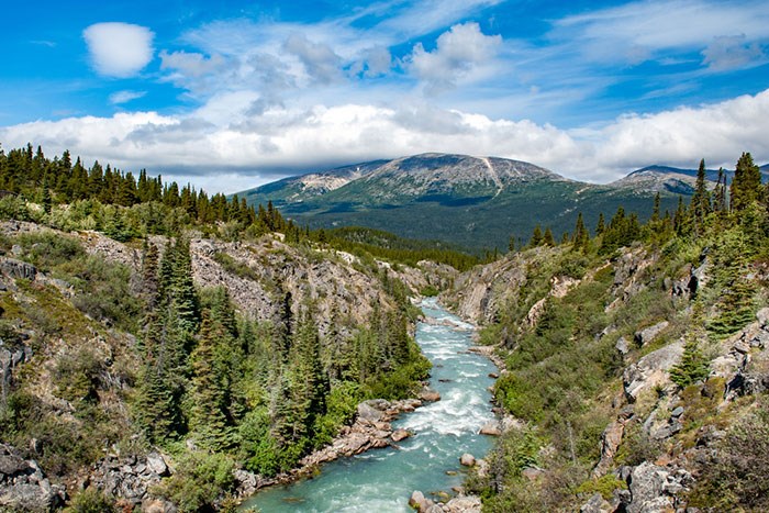  It's almost time to start planning your summer in British Columbia's great outdoors. Photo Shutterstock