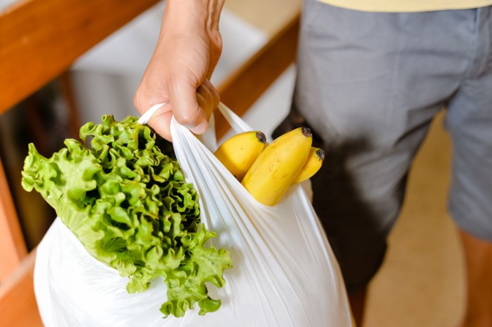  Plastic grocery bag/Shutterstock