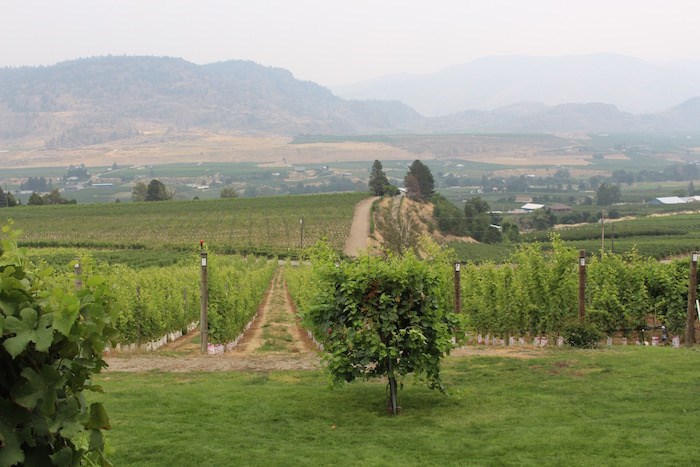  On the patio of the castle at Road 13 in the Okanagan in August 2017 (Lindsay William-Ross/Vancouver Is Awesome)