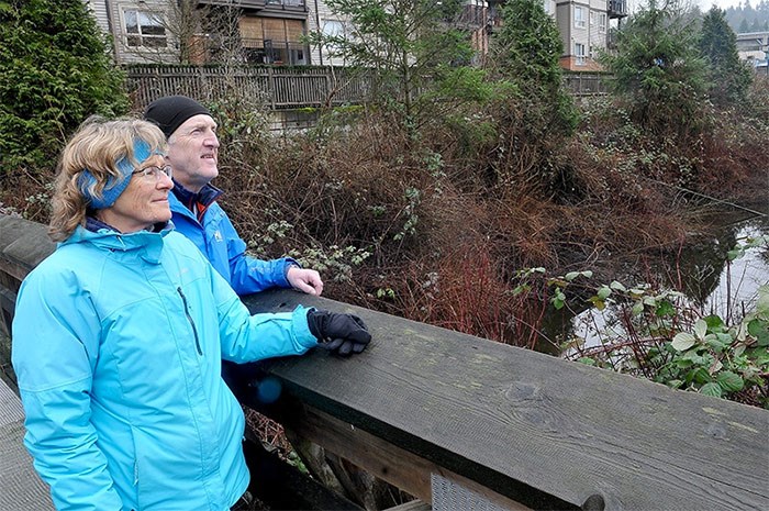  Judy Taylor-Atkinson and Jim Atkinson look out over the beaver pond on Pigeon Creek that was created by a family of industrious beavers that moved into the area in 2016. The death of one of the family's kits last December as crews from the city of Port Moody tried to evict them from an overflow pipe along the creek has prompted the city to begin development of a beaver management plan. - MARIO BARTEL/THE TRI-CITY NEWS