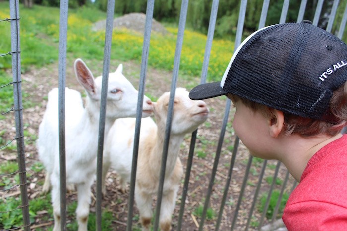  Making new friends at the Back Porch between Agassiz and Harrison Hot Springs, part of the Circle Farm Tour (Photo: V.I.A.)