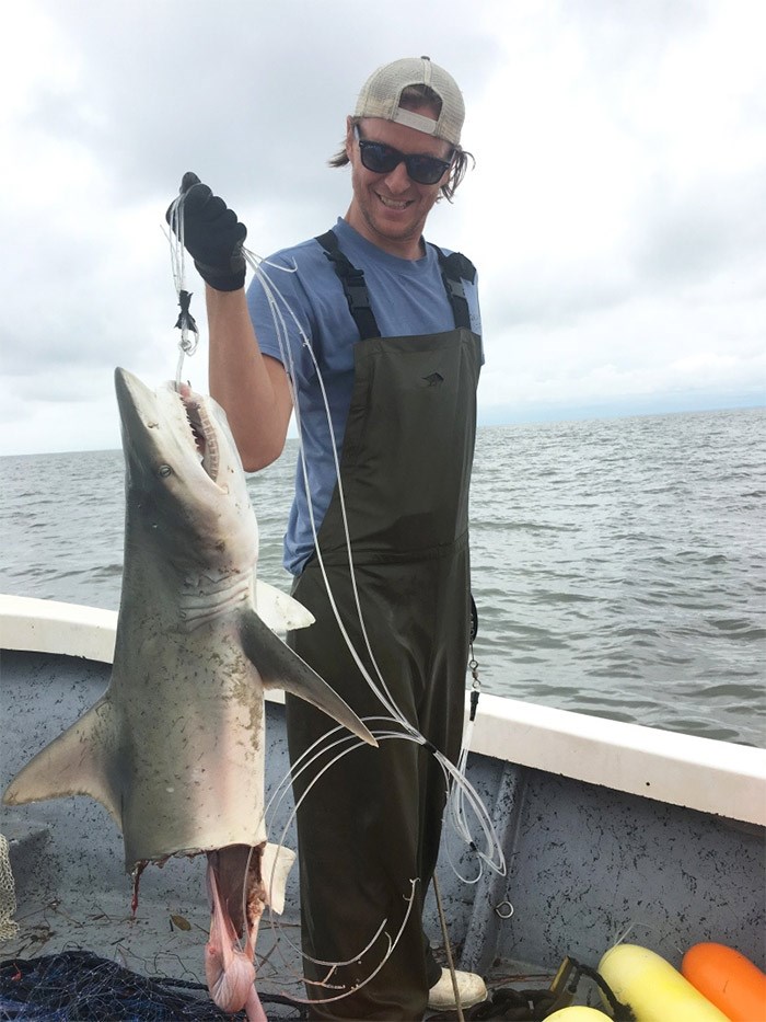  Chris Mull holds up a finetooth shark in Bulls Bay, South Carolina. “We were sampling as part of an Atlantic coast shark population and nursery survey. This shark was caught on a baited drumline, but before we could pull it in an even bigger shark came and bit this one clean in half. There were several larger lemon sharks caught and tagged this same day so one of them may have been the culprit.”