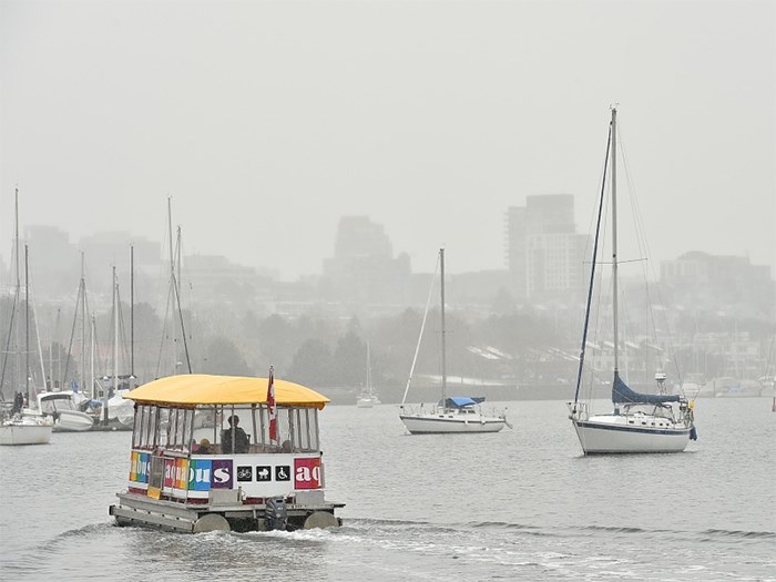  False Creek has long been a polluted waterway, partly because of sewage dumped by boaters. A city study conducted last year found that much of the seabed under major marinas in the creek were polluted with sewage from boats. Photo Dan Toulgoet