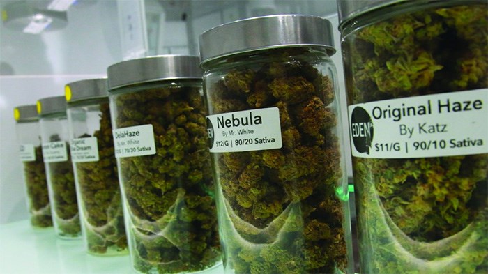 Jars of cannabis strains sit on a shelf at Vancouver’s Eden Cannabis dispensary | Rob Kruyt