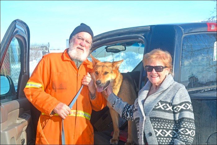  One of the first things Shirley McMillan did after she found her dog Chase locked in an empty house next door was take him to the vet;