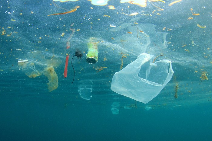  Plastic pollution in the ocean. Shutterstock