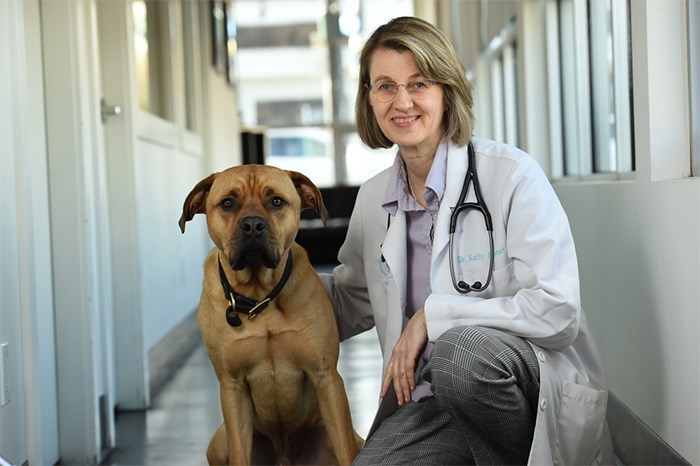  Veterinarian Katherine Kramer regularly uses CBD in the treatment of pets. Photo Dan Toulgoet