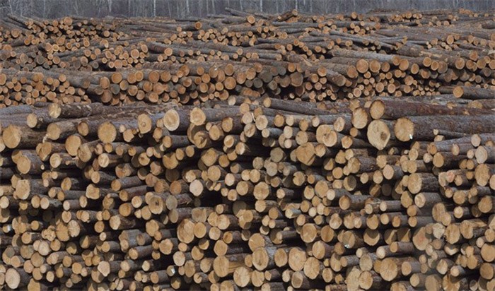  Softwood lumber is pictured at Tolko Industries in Heffley Creek, B.C., on April, 1, 2018. THE CANADIAN PRESS/Jonathan Hayward