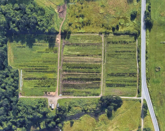  Park Board's tree farm in Campbell Valley Park. Google Maps