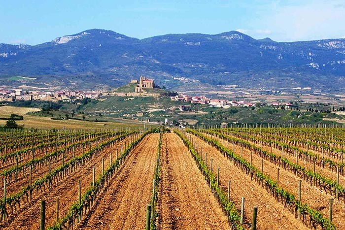  Photo: Wine Tourism Spain