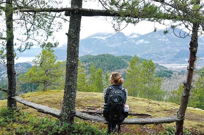  Wooden bench on Mount Co-Crumpit. (Photo by Stephen Hui)