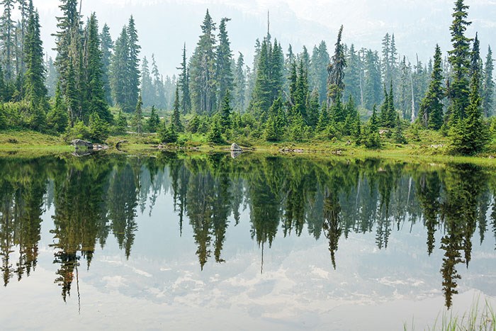  Pond along the Conflict Lake Trail. (Photo by Stephen Hui)