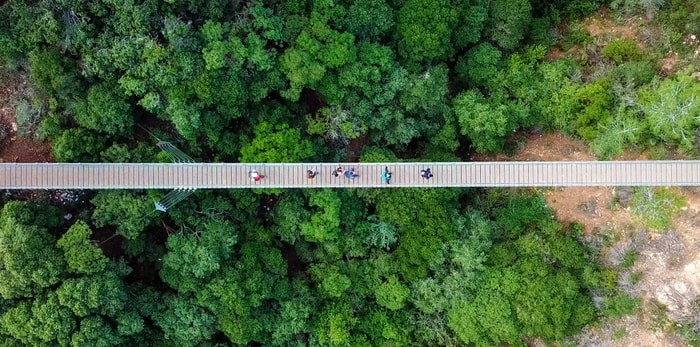  Capilano Suspension Bridge/Shutterstock