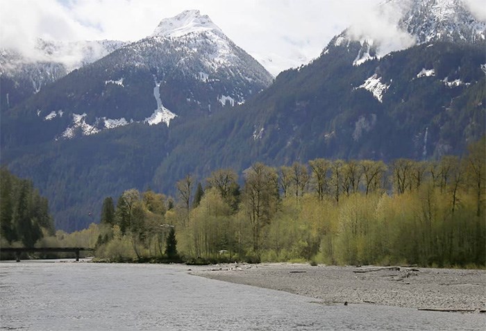  The Squamish River near the Ashlu Road campsite where the man was said to have been swept away. Photo Bob Kronbauer