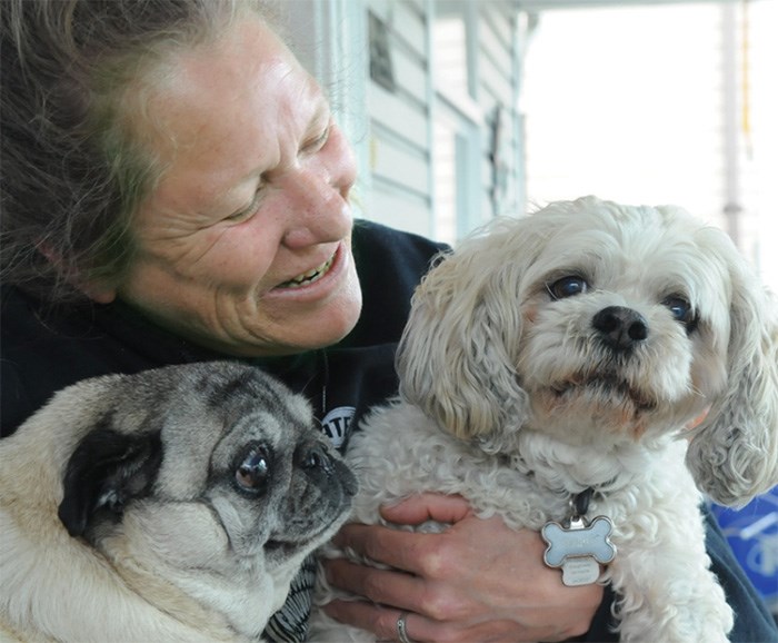  Denise Baker-Grant cuddles with her two dogs Maggie and Gizmo in front of her home Wednesday, a day after she punched and kicked a coyote that was attacking a stranger’s dog. photo Mike Wakefield, North Shore News
