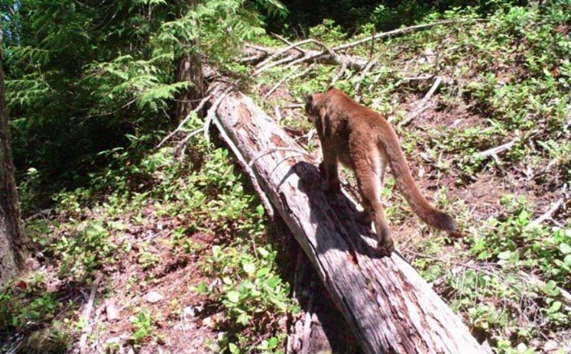  Photo City of Port Moody