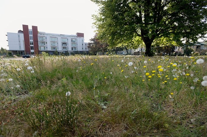  Little Mountain redevelopment site in a photo take in 2015. The city has identified a portion of the site as the next potential location for temporary modular housing. The complex would be on the site for approximately three years, after which it will be replaced by the scheduled development.