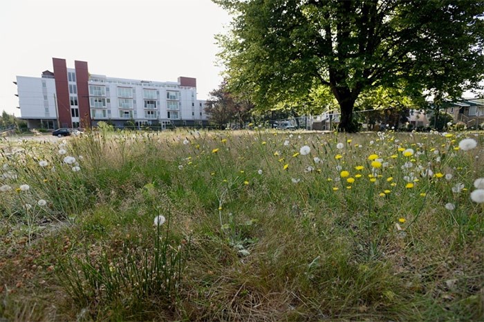  Little Mountain redevelopment site in a photo take in 2015. The city has identified a portion of the site as the next potential location for temporary modular housing. The complex would be on the site for approximately three years, after which it will be replaced by the scheduled development.