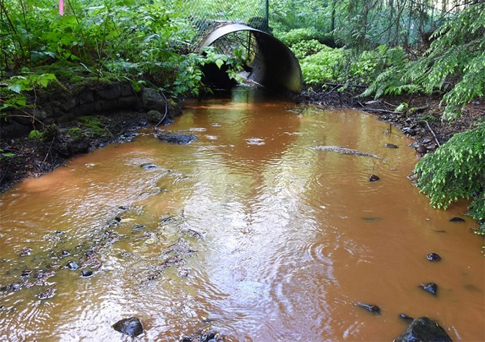  Eagle Creek was a deep brown colour following a heavy rain on Wednesday, June 13.