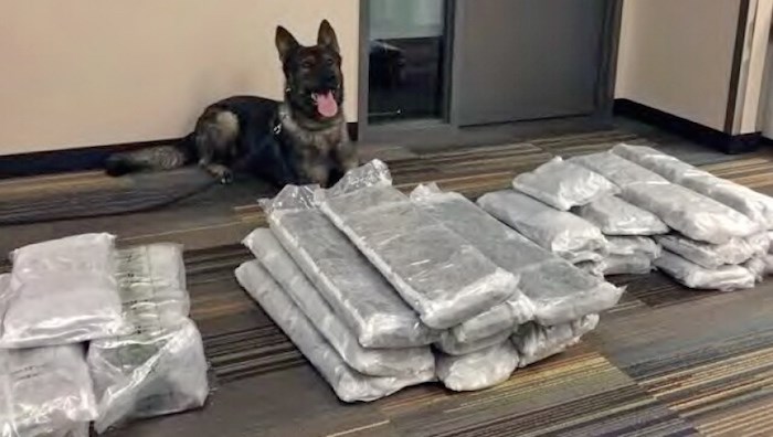  Hooper from the Lower Mainland Integrated Police Dog Services sniffed out suspected drugs at YVR on June 22, 2018, according to Richmond RCMP.