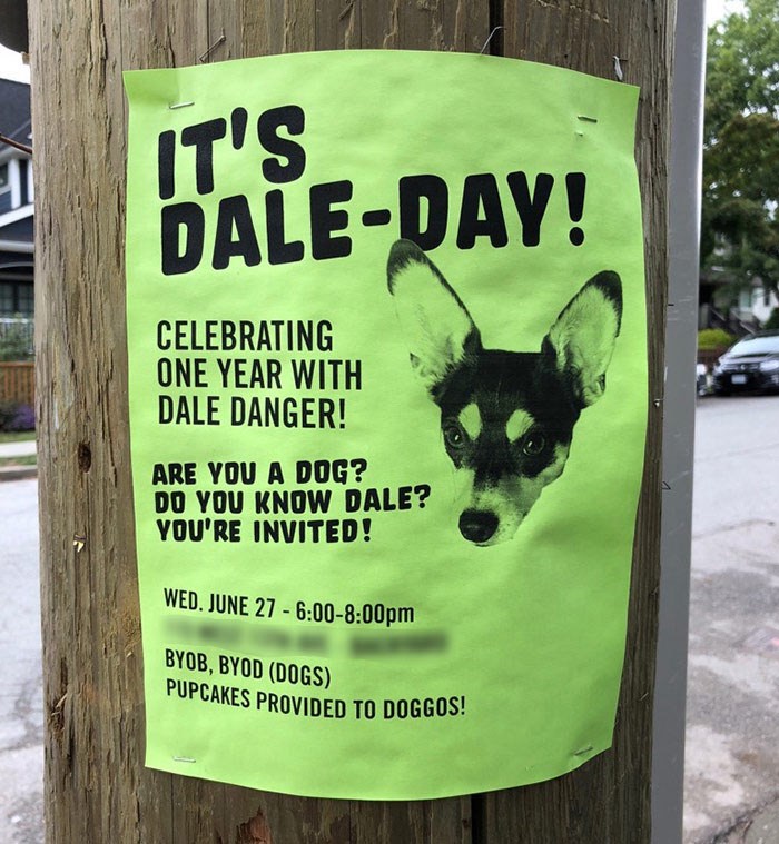  Dale Day poster, as seen in Mt Pleasant. Photo Katie Cubitt