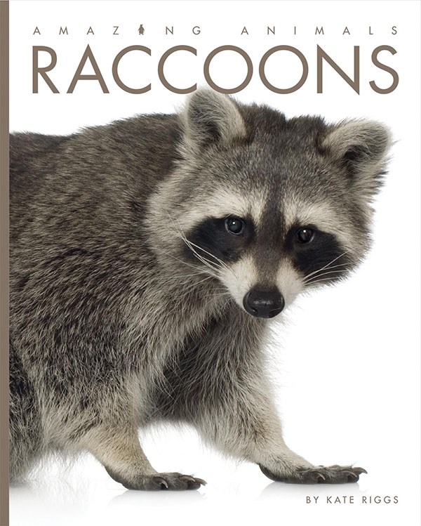 Raccoons by Kate Riggs