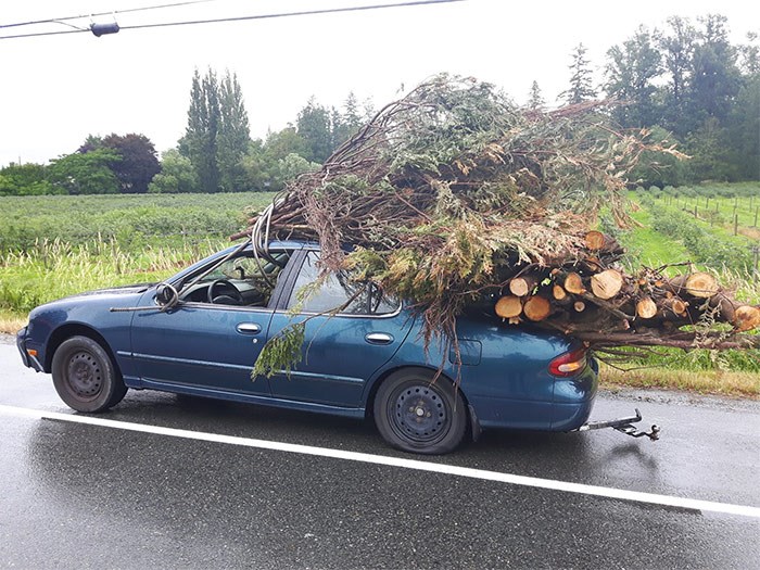  Tied down with a garden hose, yep. Photo @CstMangat on Twitter