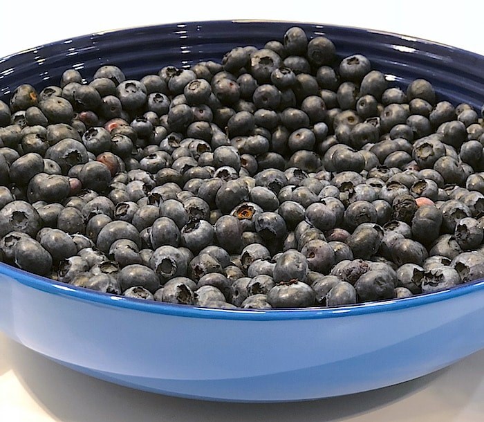  Duke blueberries picked at Krause Berry Farms in Langley (Lindsay William-Ross/Vancouver Is Awesome)