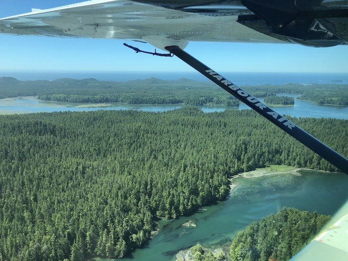  Almost in Tofino (Lindsay William-Ross/Vancouver Is Awesome)