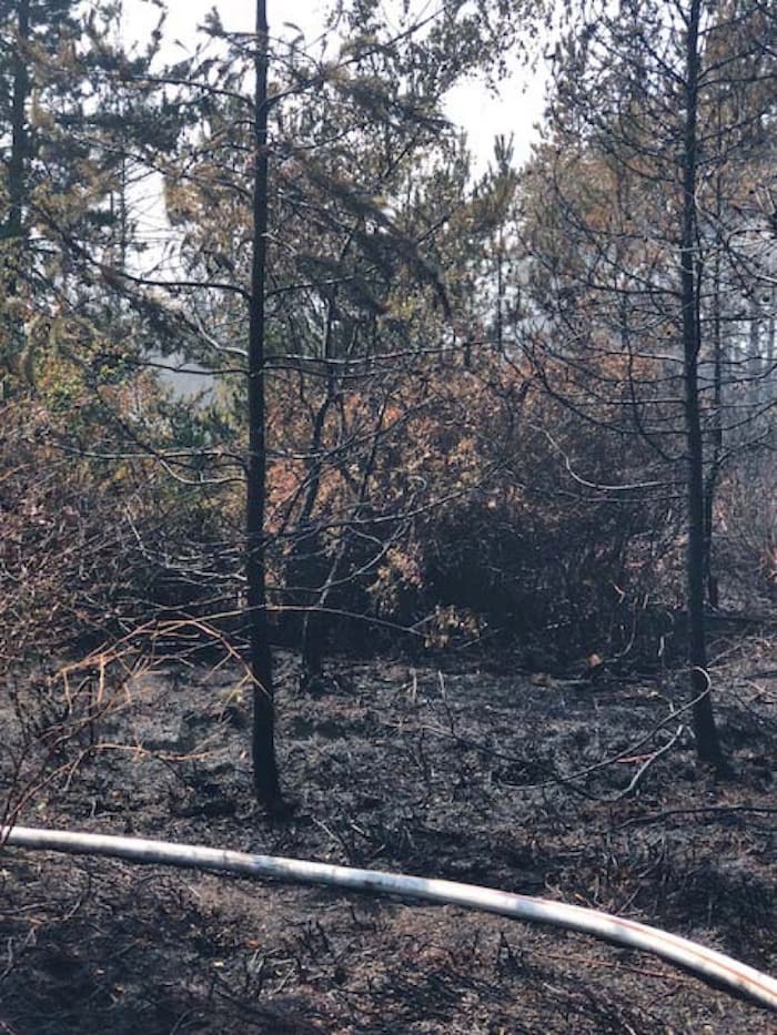  Damage from Richmond's wild land fire on Department of National Defence lands. Photo: Submitted