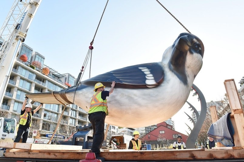  The Birds sculptures were removed from their Olympic Village home last November so that repair and finishing work can be done in Calgary and China. Photo Dan Toulgoet
