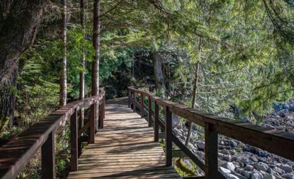  The 120-acre estate comes with a forest boardwalk. Listing agents: Scott Piercy, James LeBlanc