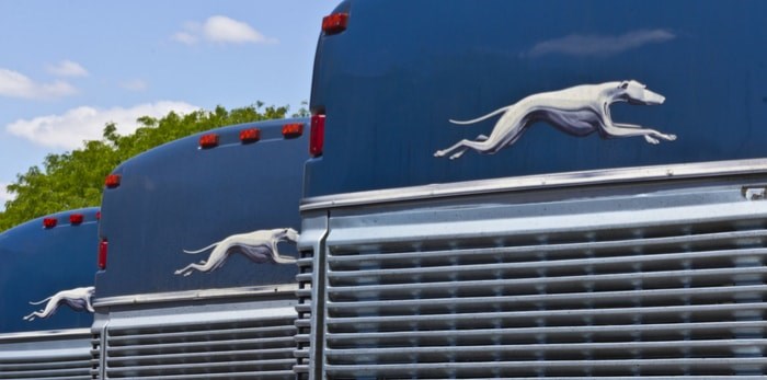  Greyhound buses. Jonathan Weiss / Shutterstock.com
