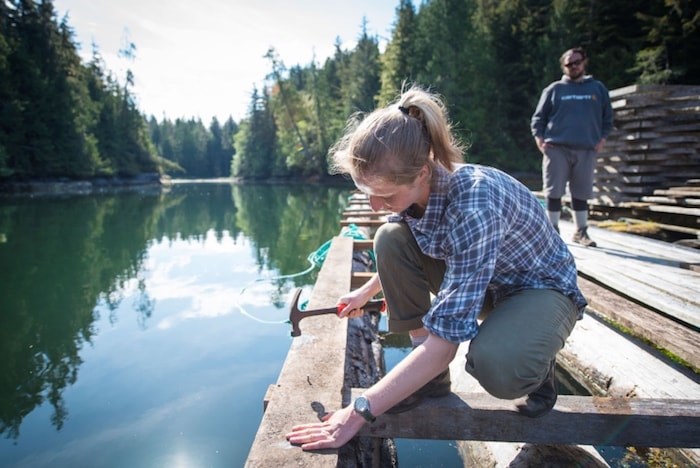  SFU researcher Emma Atkinson building a fish pen in Echo Bay.