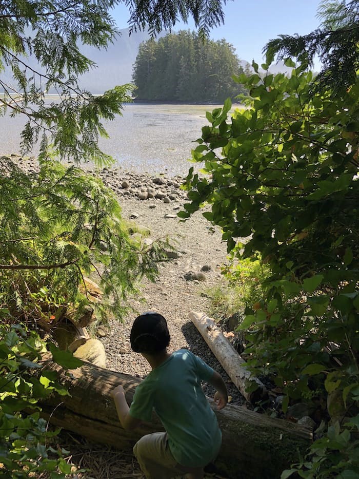  Spoiler alert from the Tofino Botanical Gardens (Lindsay William-Ross/鶹ýӳ)
