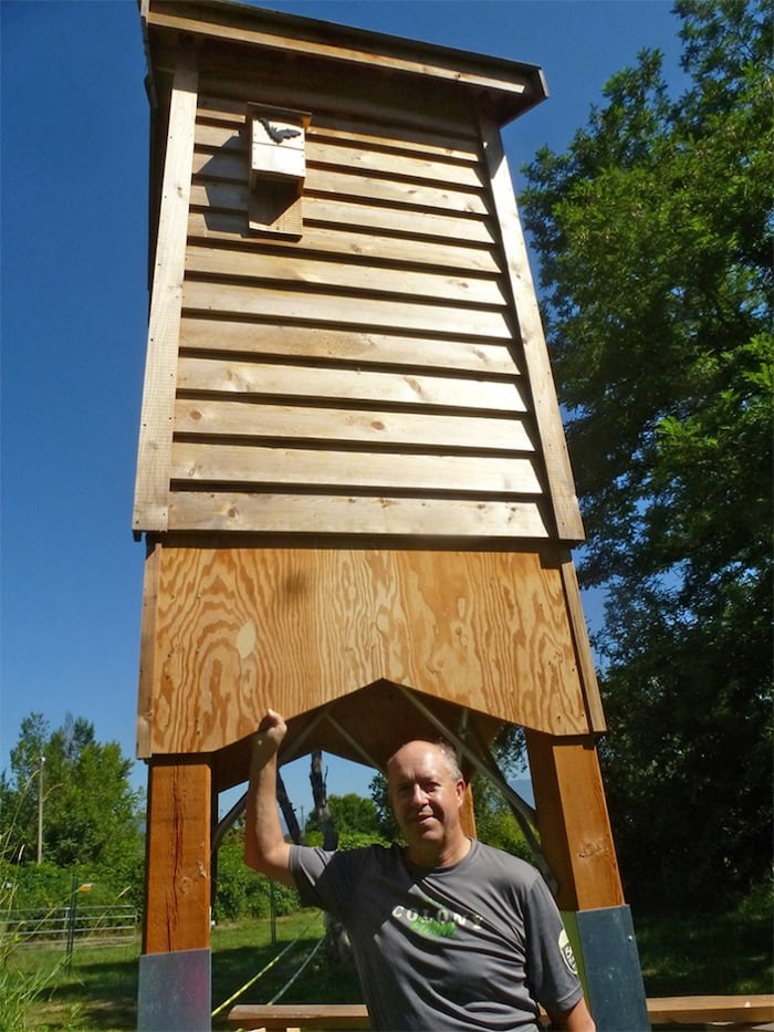  John Saremba checks out the new bat condo at Colony Farm Regional Park in Coquitlam.