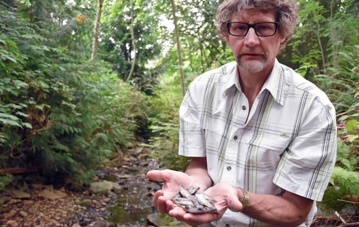  John Templeton holds some of the dead fish he collected from a tributary of Stoney Creek recently.