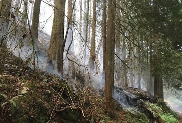  Debris smoulders on the slopes above Whyte Lake in West Vancouver following a forest fire that broke out earlier this month. The Whyte Lake trail has official been reopened. Photo West Vancouver Fire and Rescue