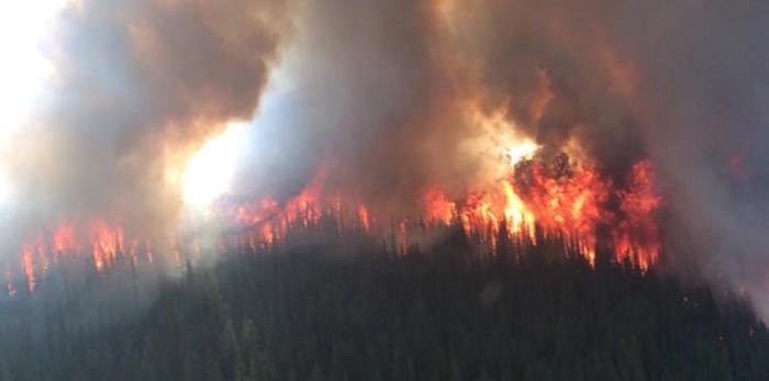  It's been a much calmer fire season this year, and the weather is mostly the reason.