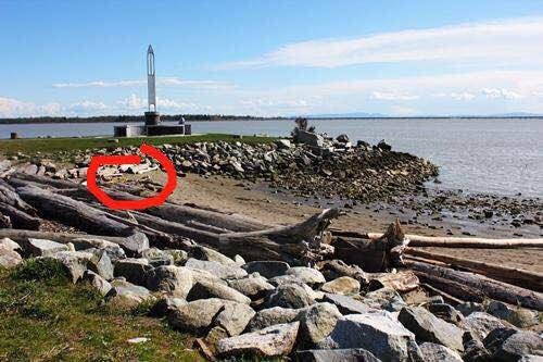  Where the dead seal was spotted according to a witness. (Richmond News)