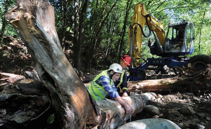  North Shore Streamkeepers Glen Parker and Colin Fraser check the steel cables that will attach tree stumps and logs to large boulders, creating habitat for juvenile coho in a channel of Lynn Creek. photo Mike Wakefield, North Shore News