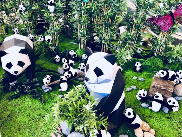  Pandas on display at Aberdeen Centre. Photo: Submitted