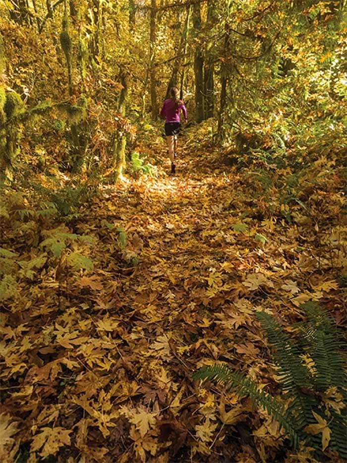  The leaf-covered trails around Squamish are beautiful come autumn. - Leigh & Spring McClurg