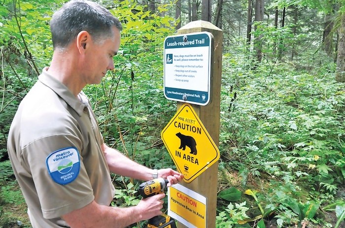  A Metro Vancouver park ranger installs signs warning the public about an aggres-sive bear at the Varley Trail in Lynn Headwaters Regional Park on Thursday. photo Paul McGrath, North Shore News