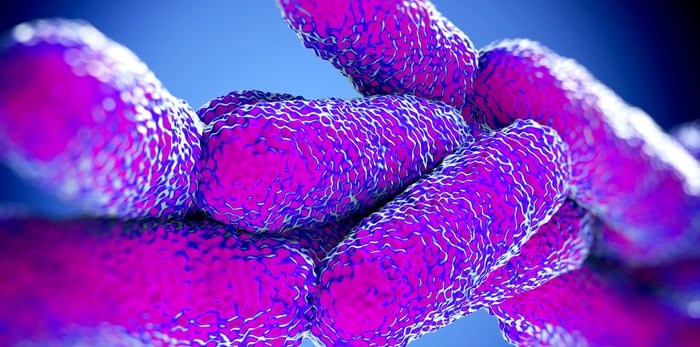  Legionella Pneumophila Bacteria/Shutterstock