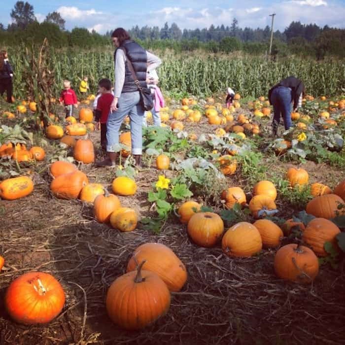  Photo: Aldor Acres Family Farm