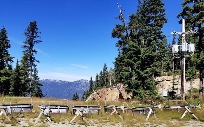  A mother bear died on Whistler Mountain on Aug. 31 after she climbed a powerpole near Franz's Chair. The pole is currently unused and scheduled to be removed, according to Whistler Blackcomb, and some wildlife fencing will be erected in the meantime. Photo courtesy Whistler Blackcomb