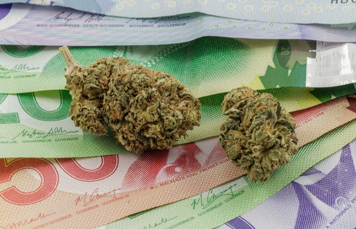  Cannabis and money in Canada/Shutterstock