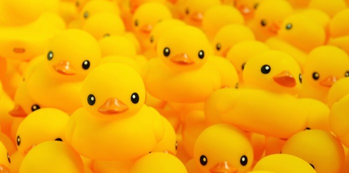  Rubber ducks/Shutterstock